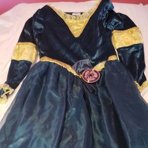 Disney's Brave Gown